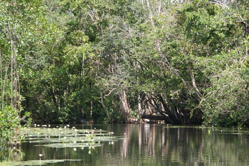 Mexico & Guatemala 2010 - 0958